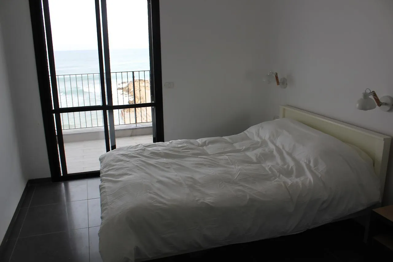 Beautiful Apartment On The First Line Of The Sea Haifa