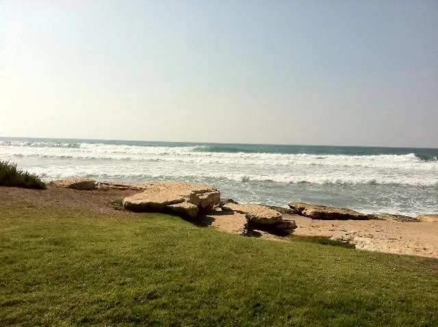 Beautiful Apartment On The First Line Of The Sea Haifa